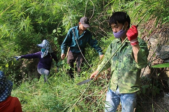 Nguyên liệu ống hút tre giúp tạo công ăn việc làm cho dân 